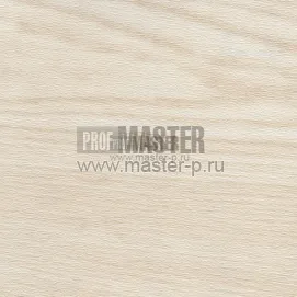 Дуб беленый