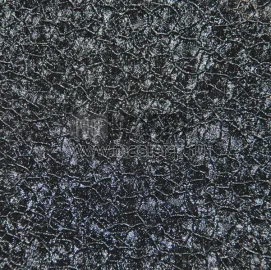 Крокодил Черный