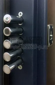 Входная дверь Рондо Входная дверь Рондо