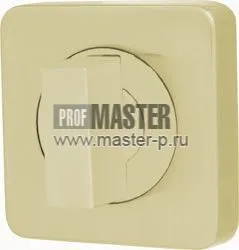 Ручка поворотная WC-BOLT BK6/SQ