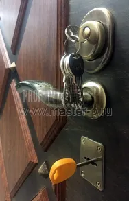 Входная дверь Гладиатор | Фото 530