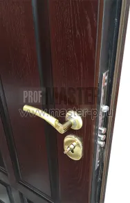 Уличная дверь Термит | Фото 8309