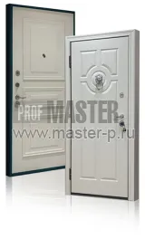 Уличная дверь Термит