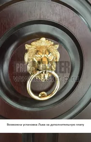 Уличная дверь Тиана | Фото 8333