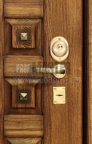 Входная дверь Везувий | Фото 570