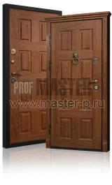 Уличная дверь Слайс