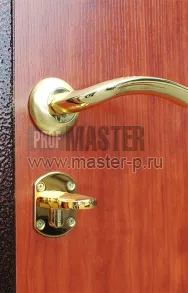 Тамбурная дверь Tb 16 | Фото 9916