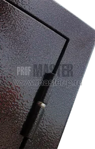 Тамбурная дверь Tb 16 | Фото 9925