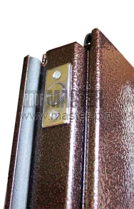 Тамбурная дверь Tb 16 | Фото 9928