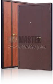 Тамбурная дверь Tb 16 | Фото 9910