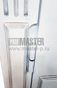 Уличная дверь Вильгельм | Фото 10102