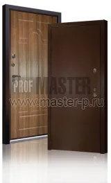 Уличная дверь DZ- Норвег