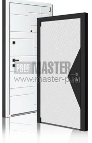 Входная дверь Тор Z | Фото 11808