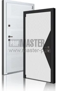 Входная дверь Тор Z | Фото 11811