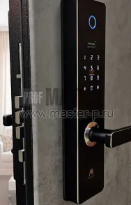 Входная дверь Бионикл | Фото 12018