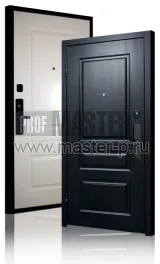 Входная дверь Бионикл