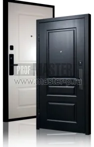 Входная дверь Бионикл | Фото 12021