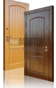 Уличная дверь Детинец STGR | Фото 12612