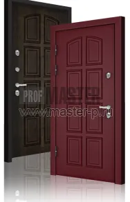 Уличная дверь Норвег STGR | Фото 12627