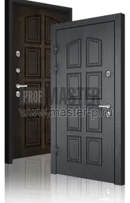 Уличная дверь Норвег STGR | Фото 12633