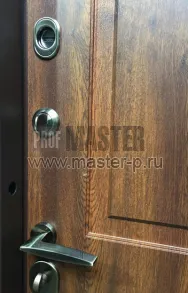 Уличная дверь Faun | Фото 12813