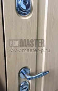 Уличная дверь Faun | Фото 12819