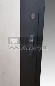 Входная дверь Лами Био Z | Фото 12906