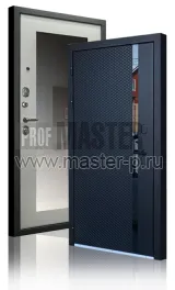 Входная дверь Пуна Z