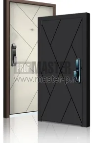 Входная дверь Эйрик Био | Фото 13827