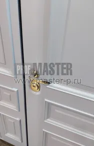 Уличная дверь Идеал SL | Фото 14115