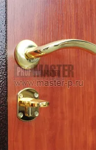 Входная дверь Сатурн | Фото 962