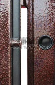 Входная дверь Сатурн | Фото 964