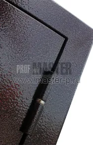 Входная дверь Сатурн | Фото 968