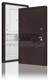 Входная дверь 2сс