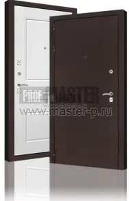 Входная дверь 2сс | Фото 14511