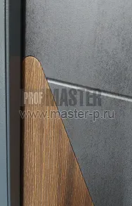 Входная дверь Эйрик Био Бетон | Фото 14529