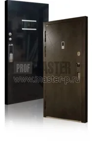 Входная дверь Тесла I | Фото 14565