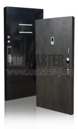 Входная дверь Тесла I