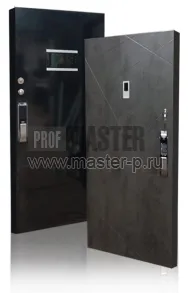 Входная дверь Тесла I | Фото 14556