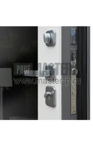 Входная дверь Челсин Z KL | Фото 15222