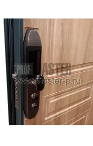 Входная дверь Морра | Фото 19140