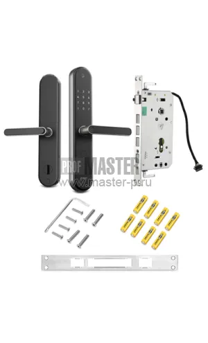 Электронный биометрический замок Xiaomi Aqara N100