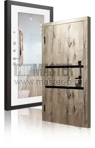 Входная дверь Монолит ЛZ | Фото 15669