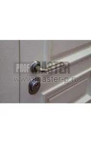 Входная дверь Чикаго White Арм | Фото 15810