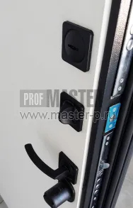 Входная дверь Тесла II | Фото 16986