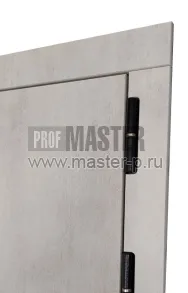 Входная дверь Тесла II | Фото 17007