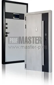 Входная дверь Тесла II | Фото 17001