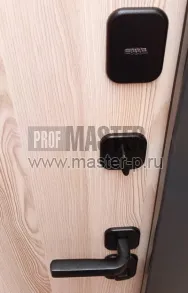 Входная дверь 7с | Фото 22728