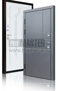 Уличная дверь TD-Северный луч | Фото 17211