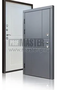 Уличная дверь TD-Северный луч | Фото 17235